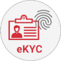 e-KYC Verification Solutions